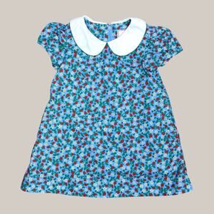 Classic Prep Strawberry Blue Peter Pan Collar Dress 2T
